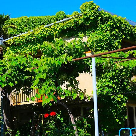 Guest House Green Veranda Mtsʼkhetʼa エクステリア 写真