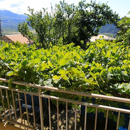 Guest House Green Veranda Mtsʼkhetʼa エクステリア 写真