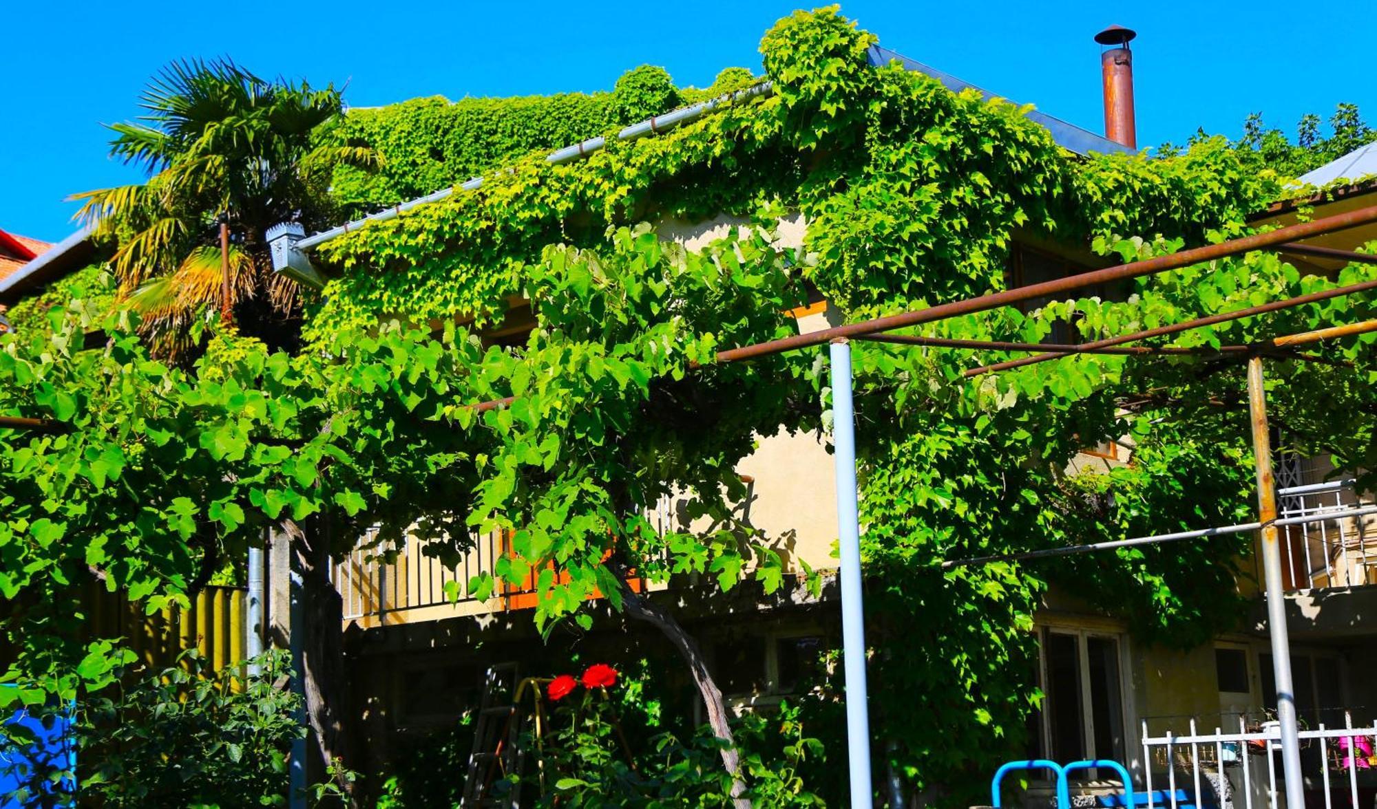 Guest House Green Veranda Mtsʼkhetʼa エクステリア 写真