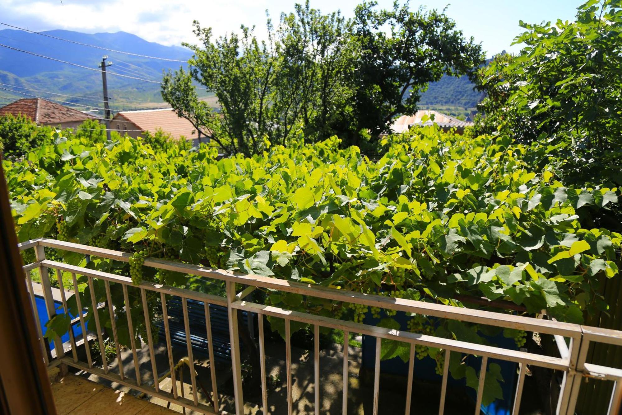 Guest House Green Veranda Mtsʼkhetʼa エクステリア 写真