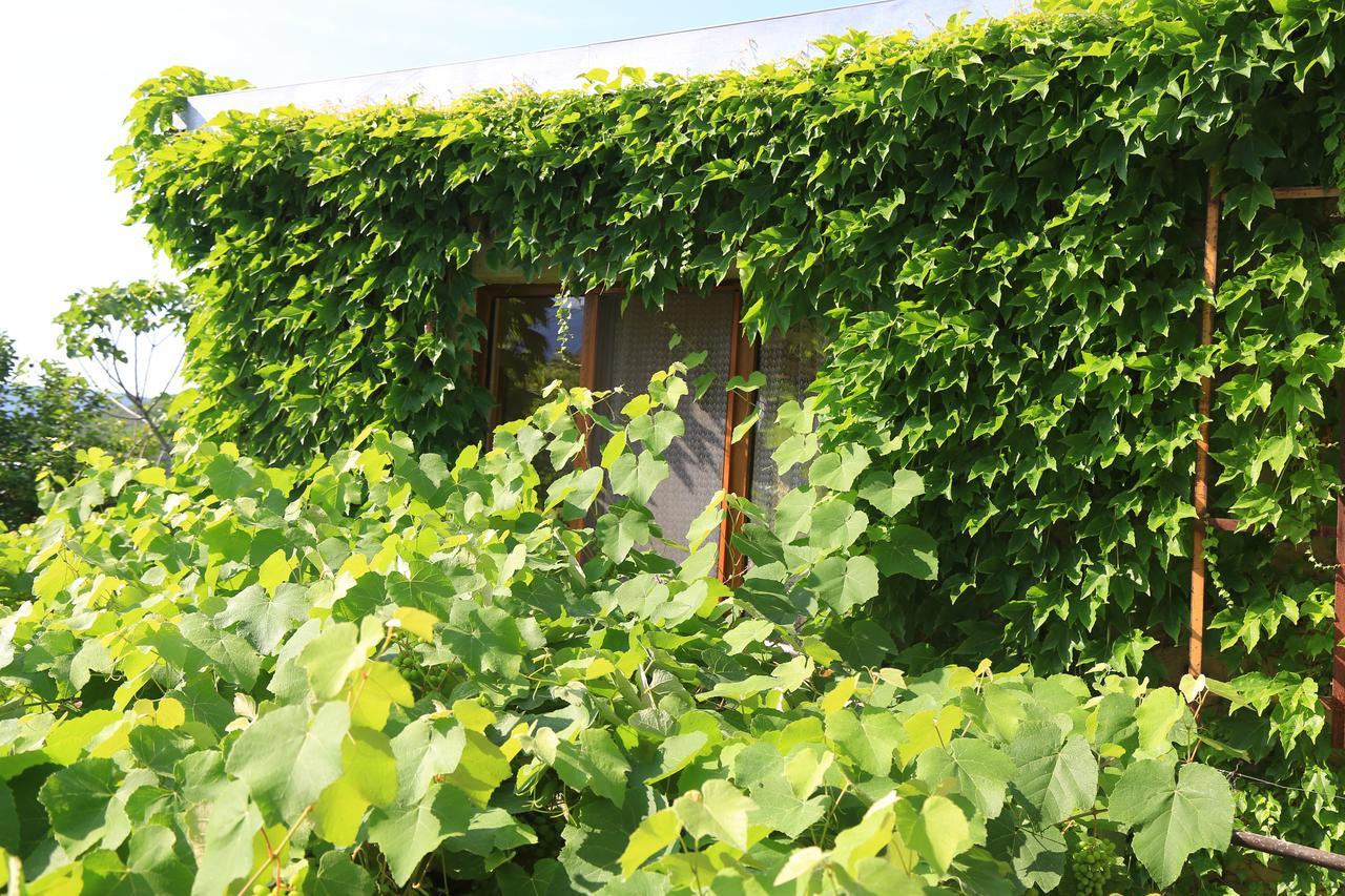 Guest House Green Veranda Mtsʼkhetʼa エクステリア 写真