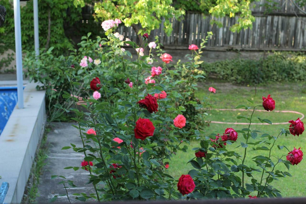 Guest House Green Veranda Mtsʼkhetʼa エクステリア 写真
